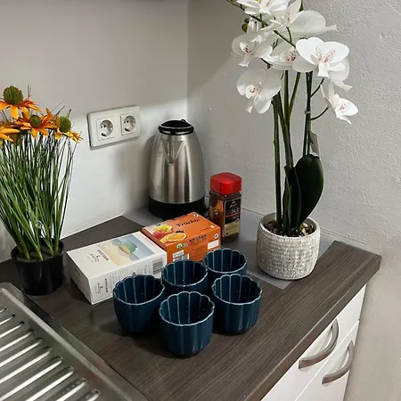 Bergblick Balkon Bruck An Der Lägenhet